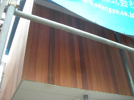 20080411.JPG